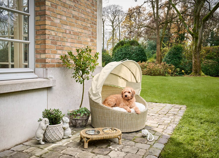 Plażowanie w psim stylu