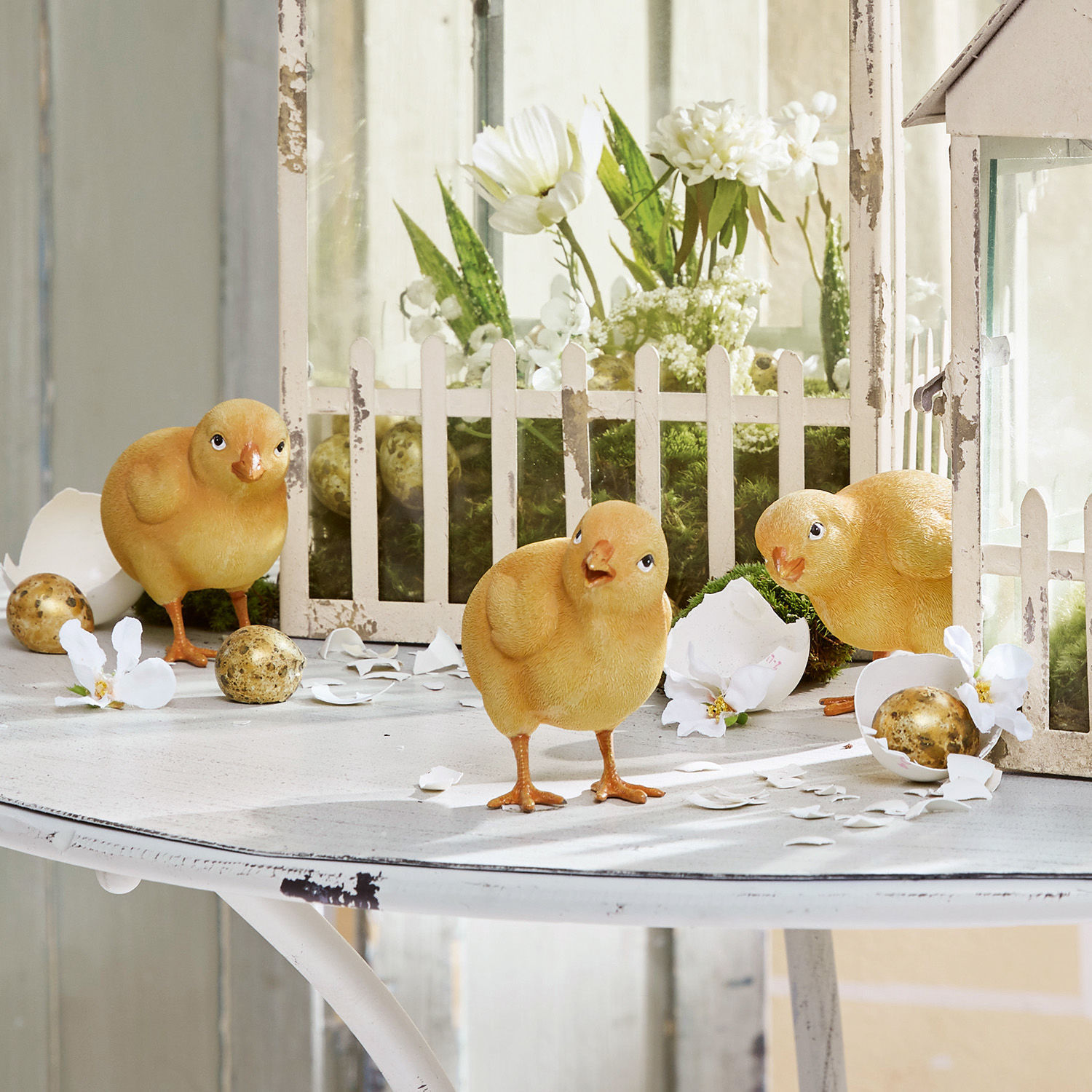 Pisklę, zestaw 4 szt. Wendolin