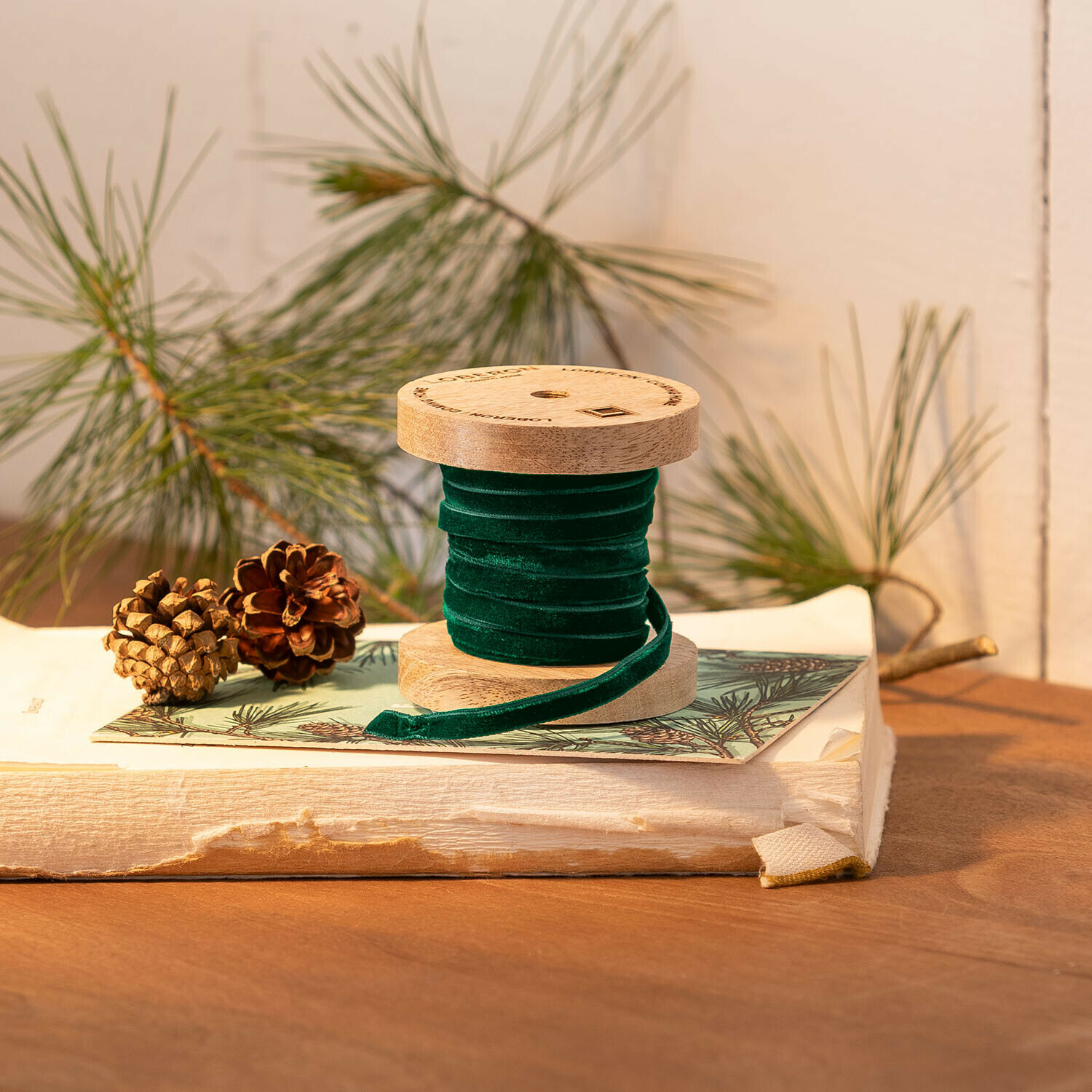 Aksamitna wstążka Olessa