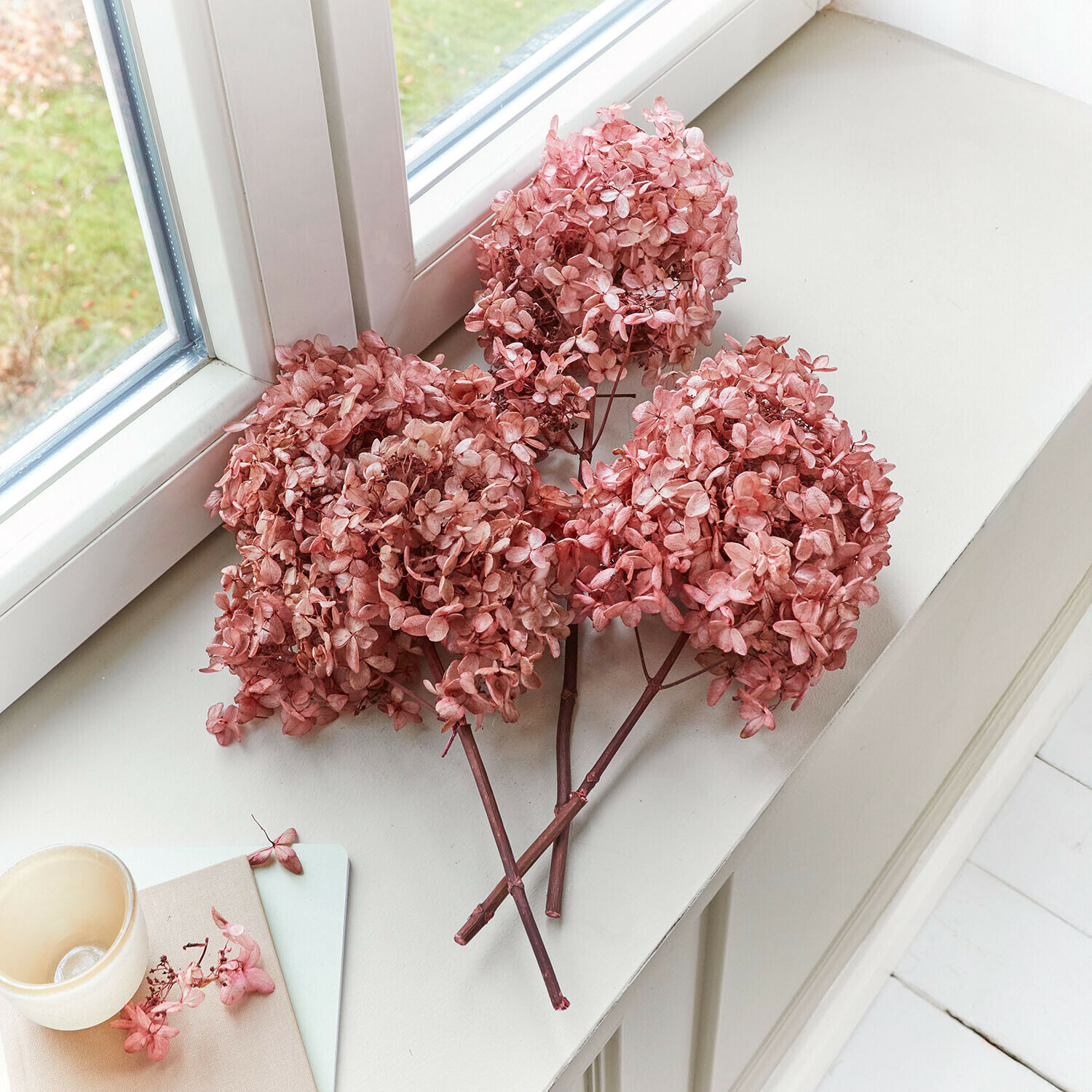 Suszony kwiat, zestaw 3 szt. Amélorie