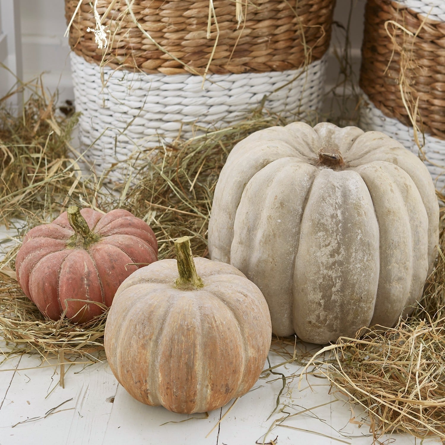 Dynia, zestaw 3 szt. Pumpkin