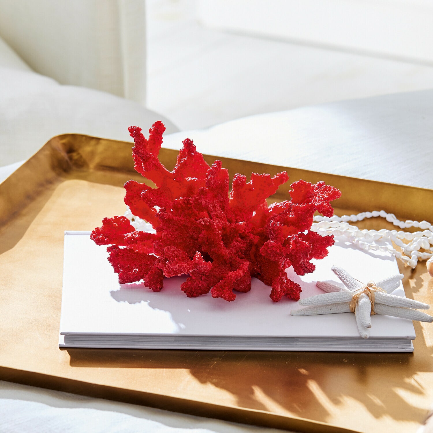 Dekoracyjny koralowiec Reddish