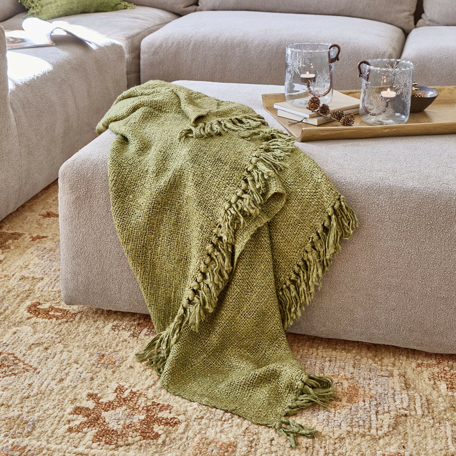 Pled Willowhue Pled Willowhue