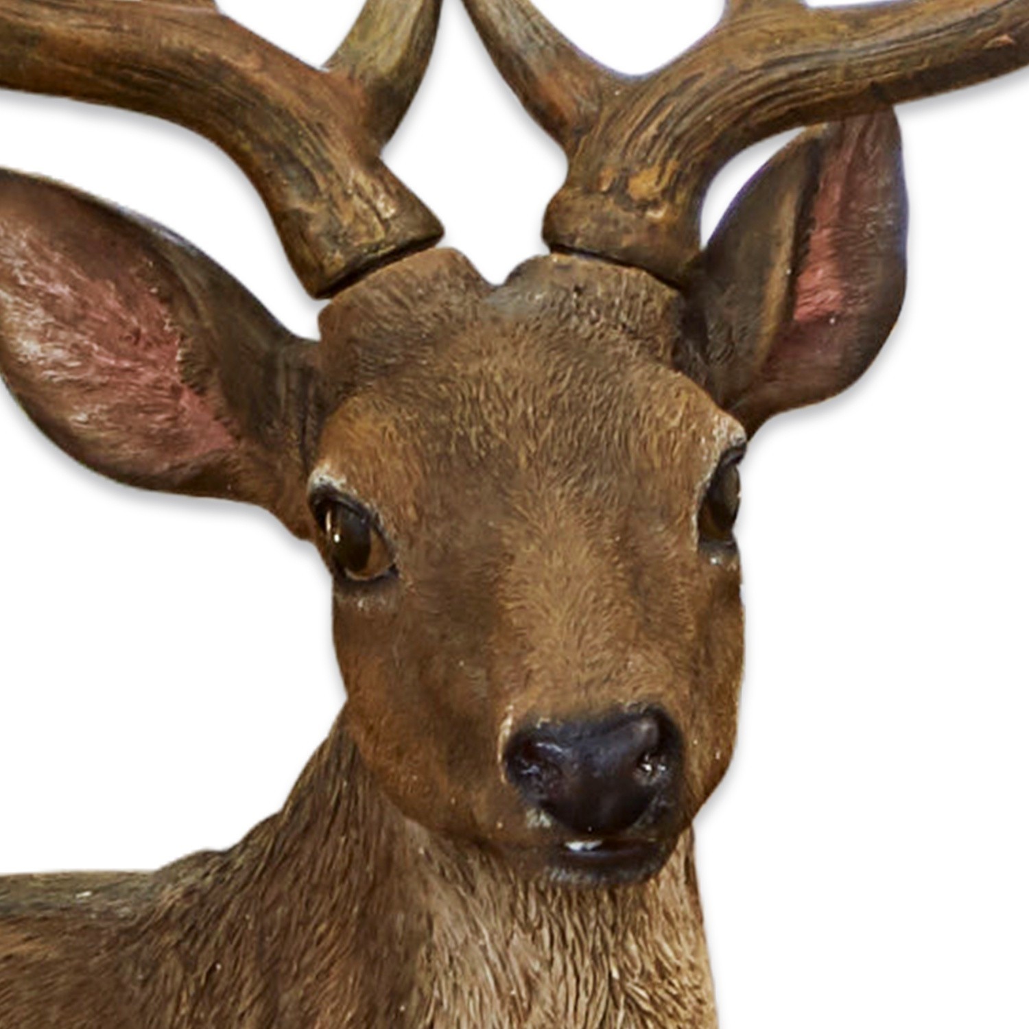 Jeleń i łania Soliers