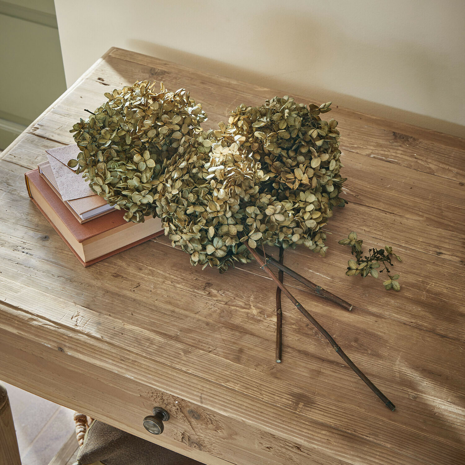 Suszone kwiaty, zestaw 3 szt. Brissonne Suszone kwiaty hortensji w beżowym kolorze na drewnianym stole z książkami i kopertą