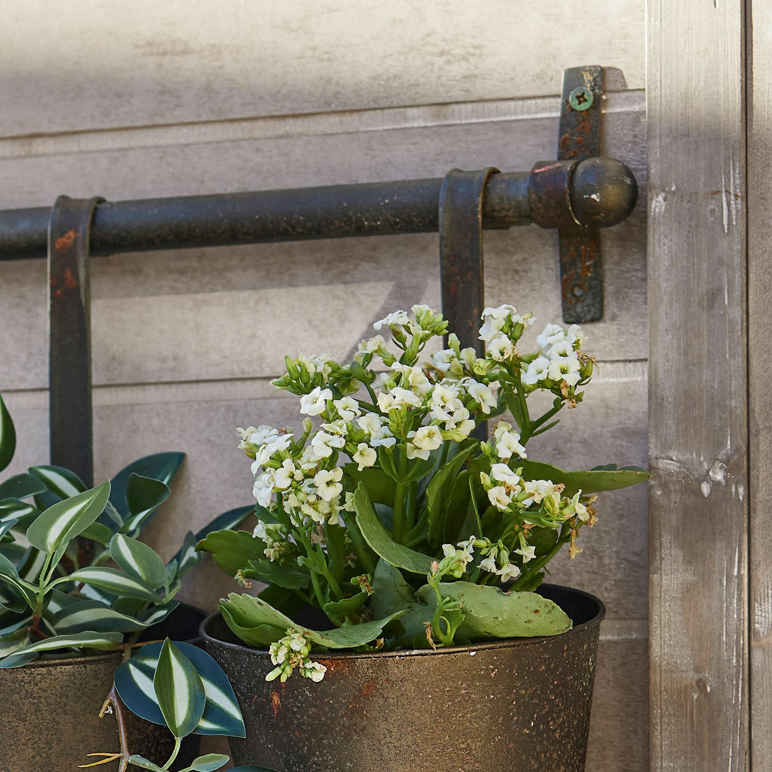Wisząca osłonka, zestaw 3 szt. Châtonnaye