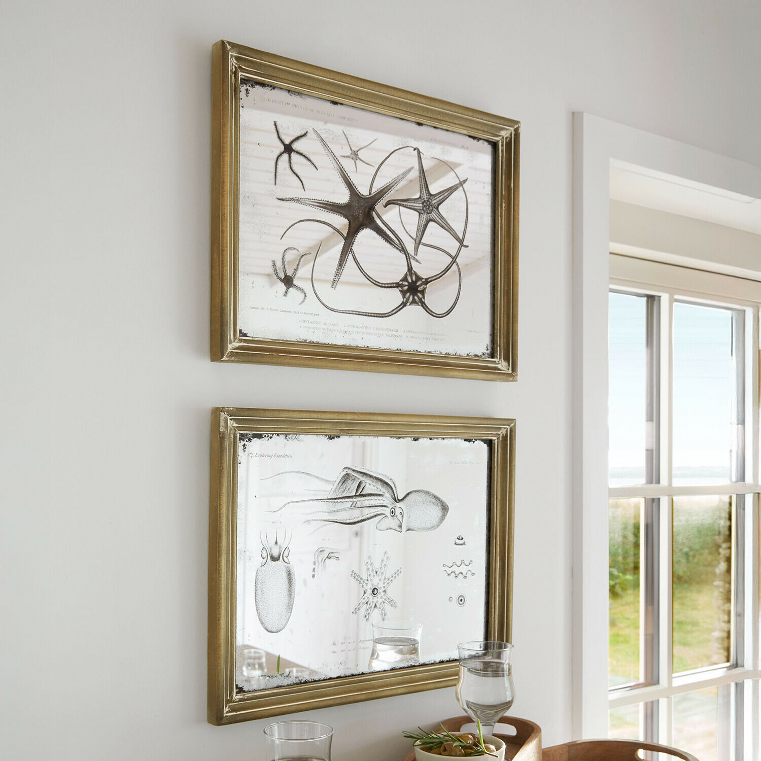 Dwa złote ramy z lustrem i grafiką morskich stworzeń, dekoracja ścienna w jasnym wnętrzu