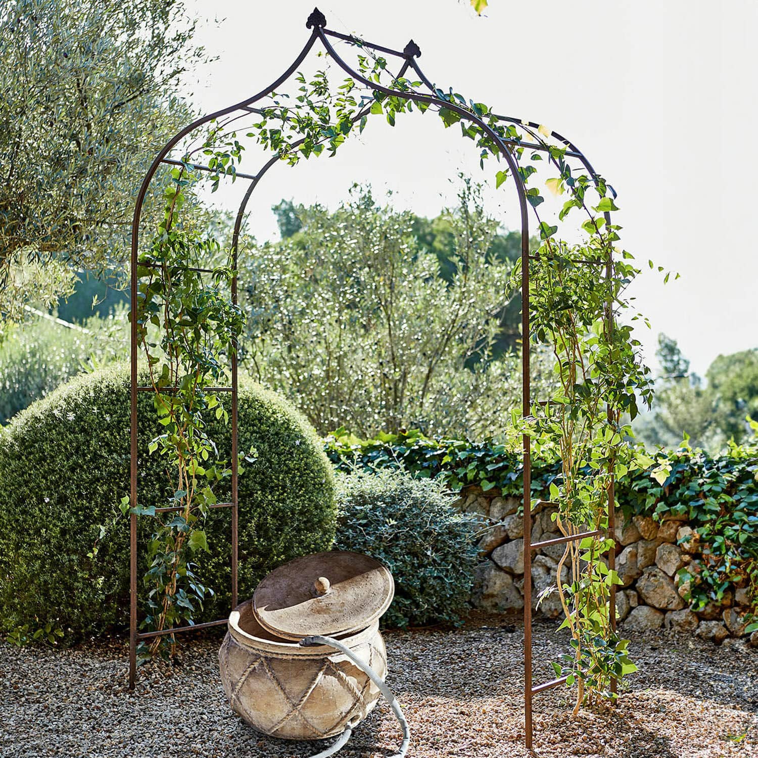 Pergola ogrodowa Dimarus Metalowa brama ogrodowa z pnączami na tle zielonych krzewów i kamiennego muru