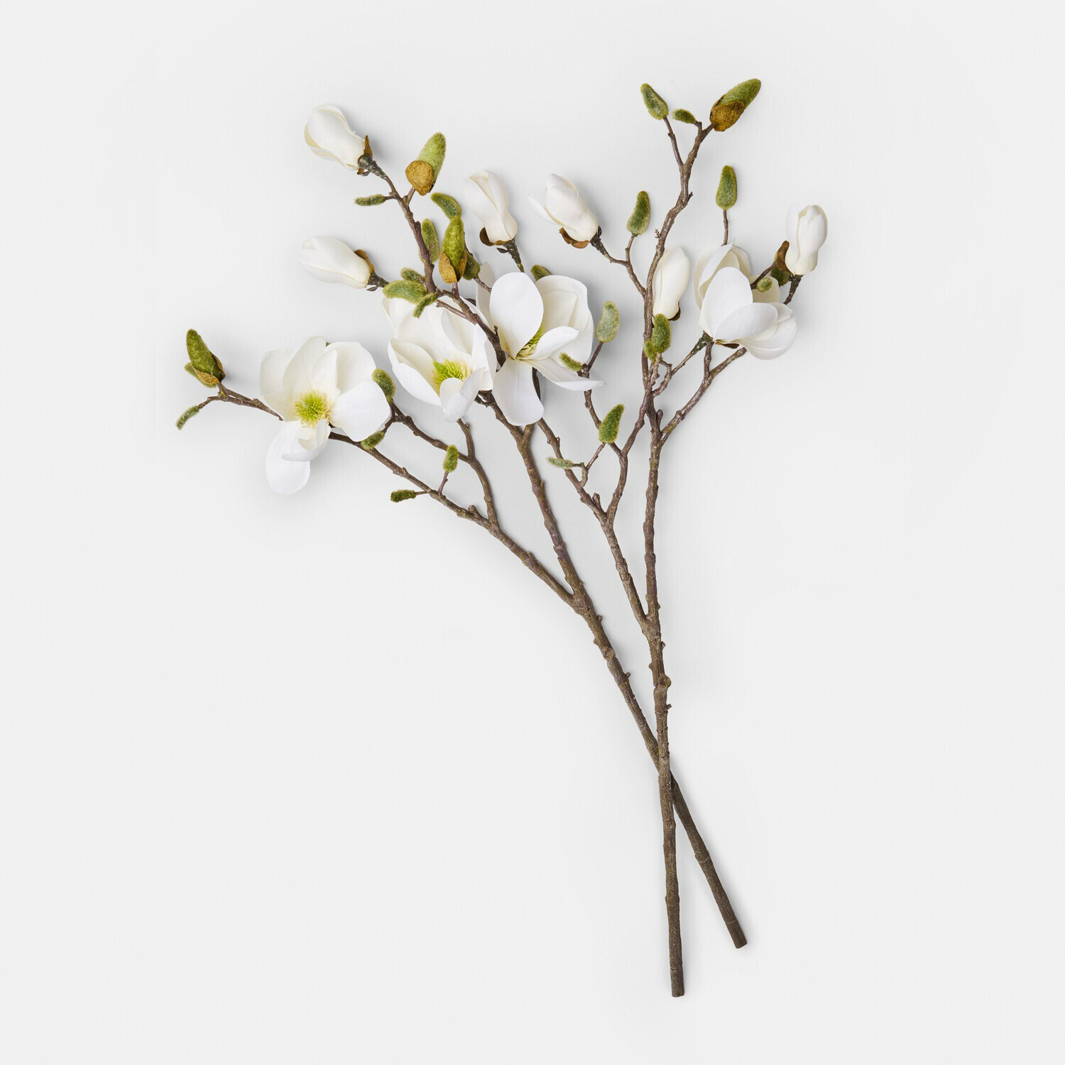 Ozdobny kwiat, zestaw 2 szt. Aurélines Gałązki z białymi kwiatami magnolii i zielonymi pąkami na jasnym tle, dekoracja wiosenna