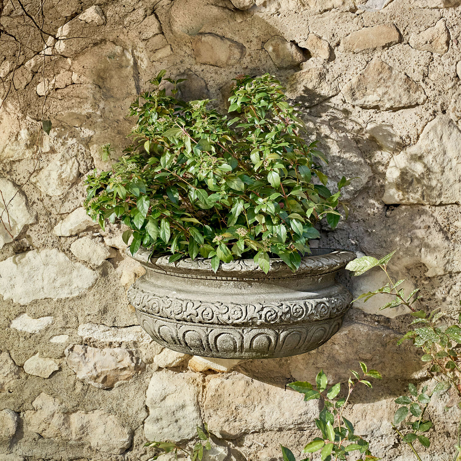 Ozdobna betonowa donica ścienna z zielonymi liśćmi na tle kamiennej ściany, dekoracja ogrodowa