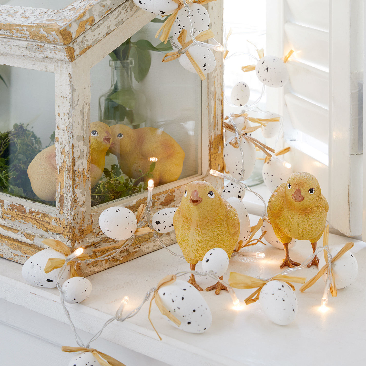 Pisklę, zestaw 4 szt. Wendolin