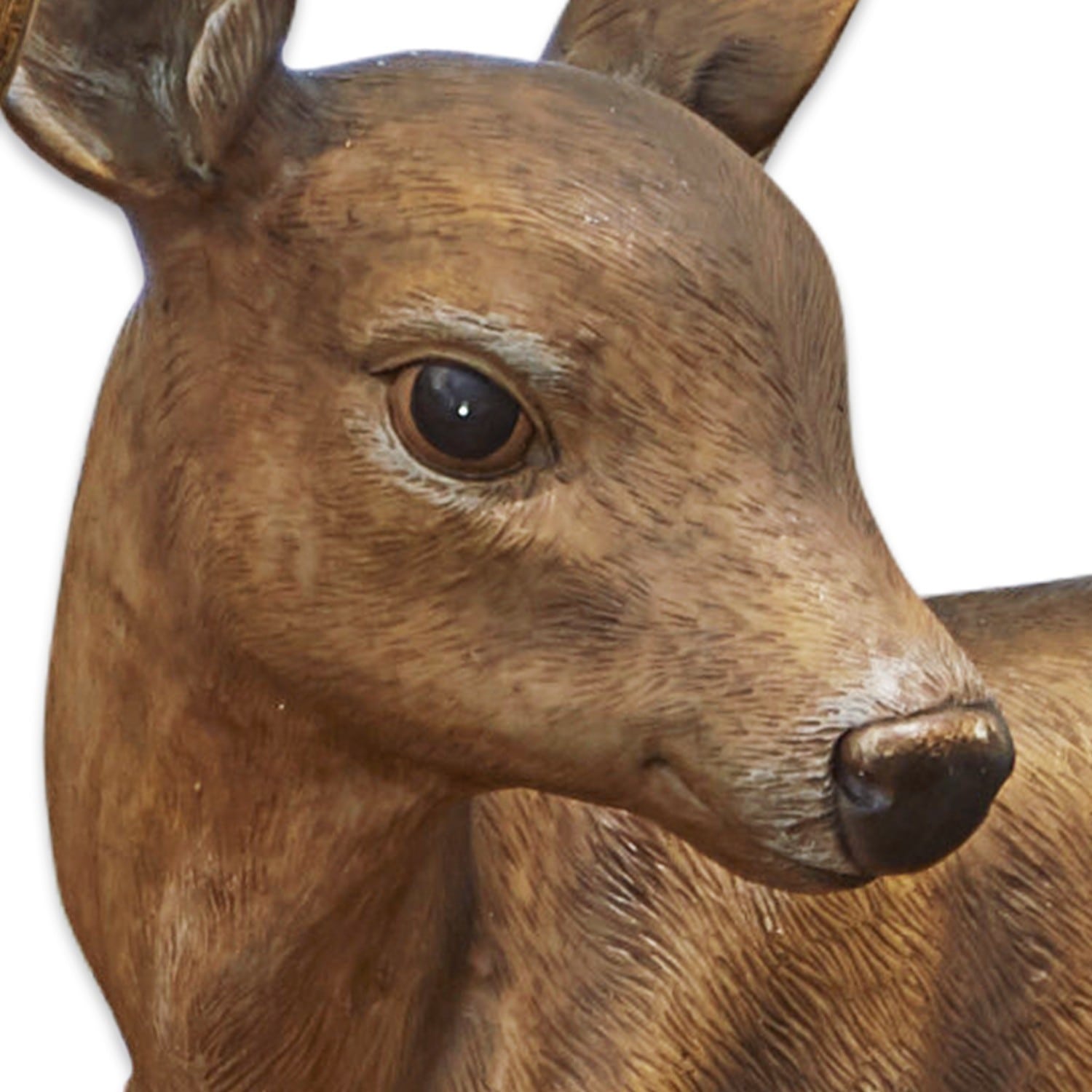 Jeleń i łania Soliers