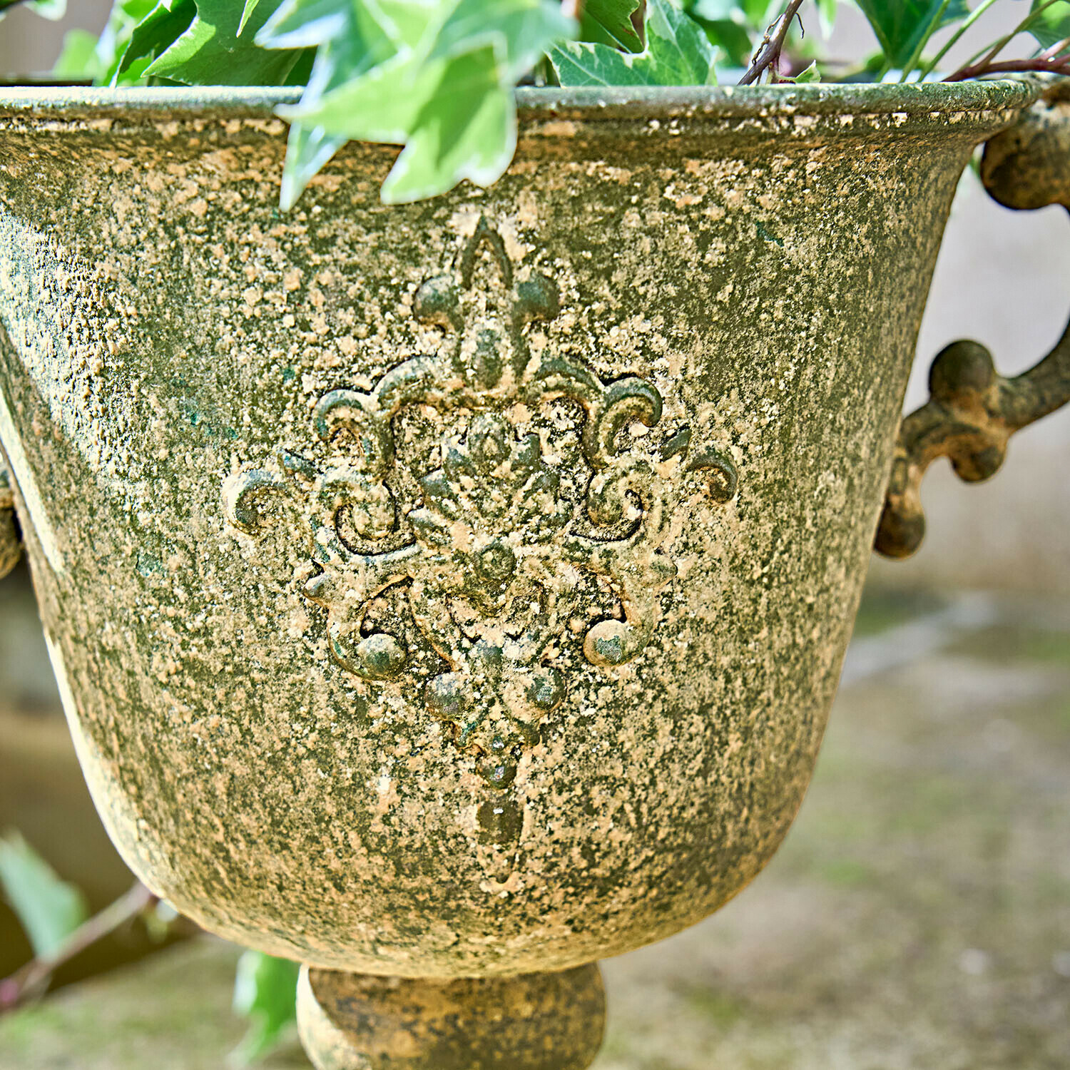 Amfora Ivyridge
