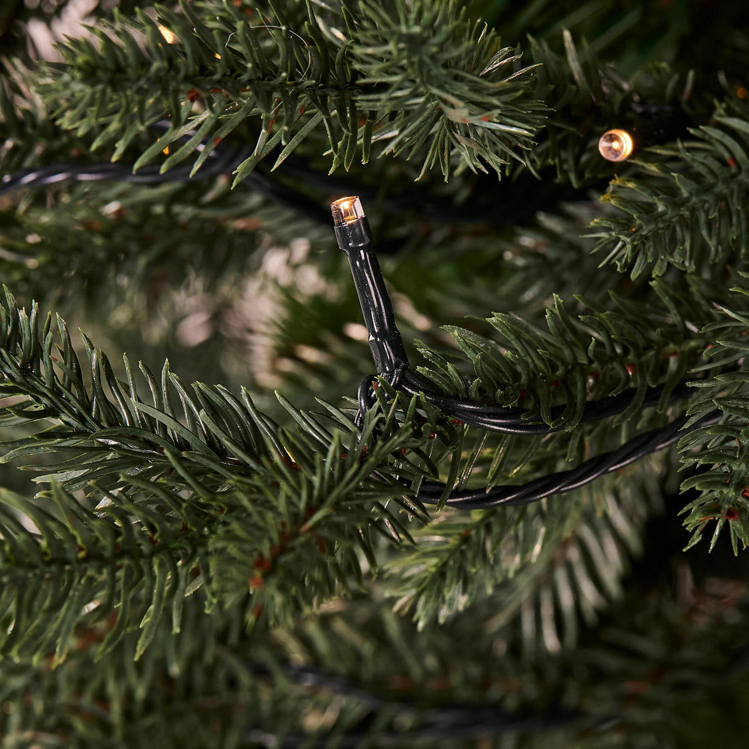 Choinka Celindor