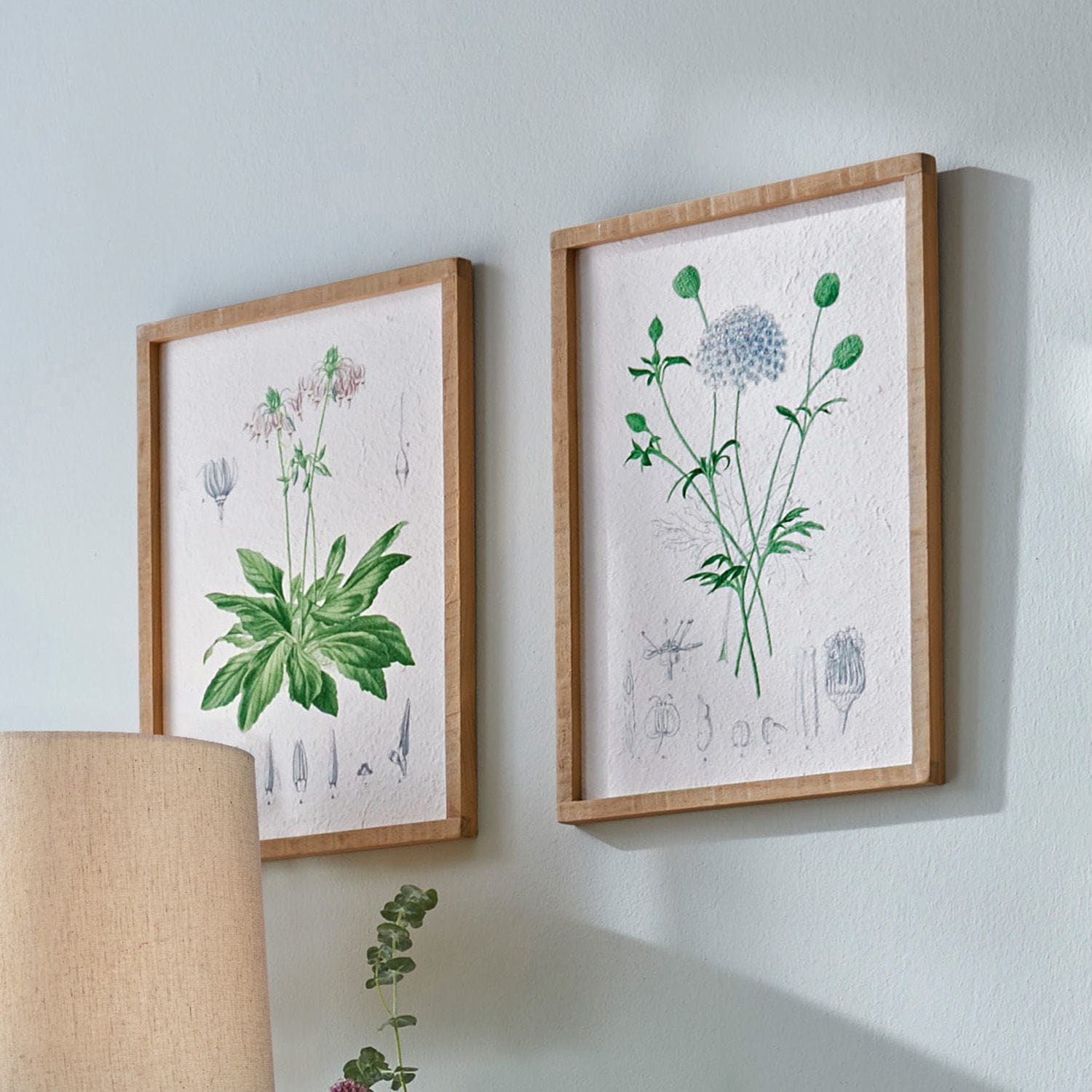 Obraz, zestaw 2 szt. Botanic