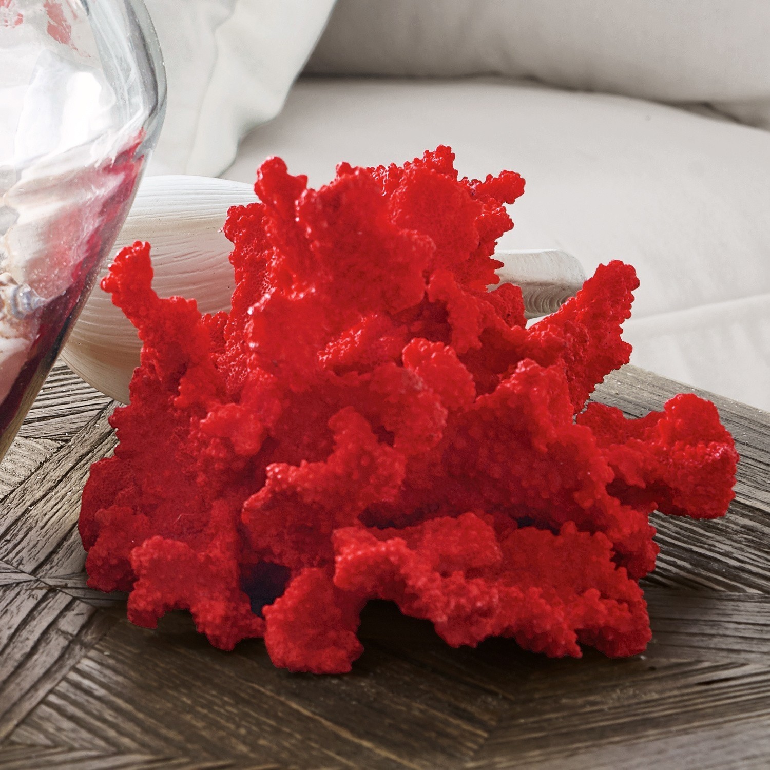 Dekoracyjny koralowiec Reddish