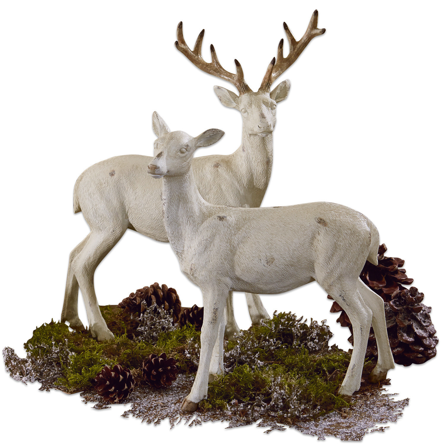 Jeleń i łania Risleys