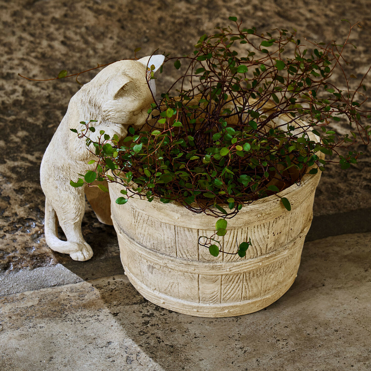 Donica z jasnego kamienia z zieloną rośliną i figurką kota w kolorze beżowym na podłodze z kamienia