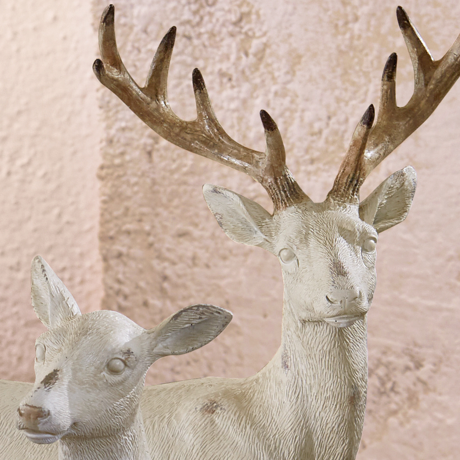 Jeleń i łania Risleys