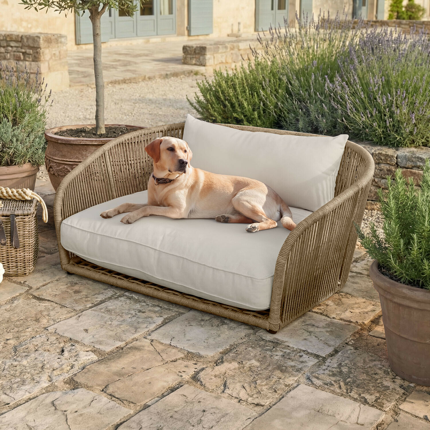 Legowisko do wnętrz i na zewnątrz Belvidere Beżowa sofa z plecionego materiału z kremowymi poduszkami na kamiennym patio z psem leżącym obok roślin