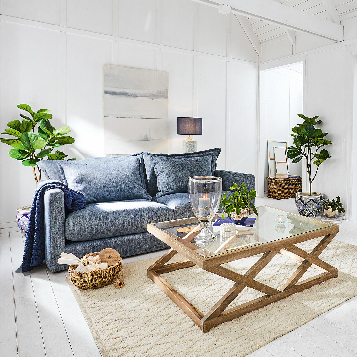 Dekoracyjna roślina doniczkowa Evolet