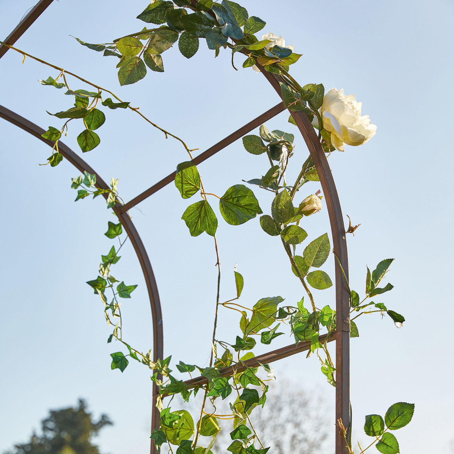 Pergola ogrodowa Dimarus