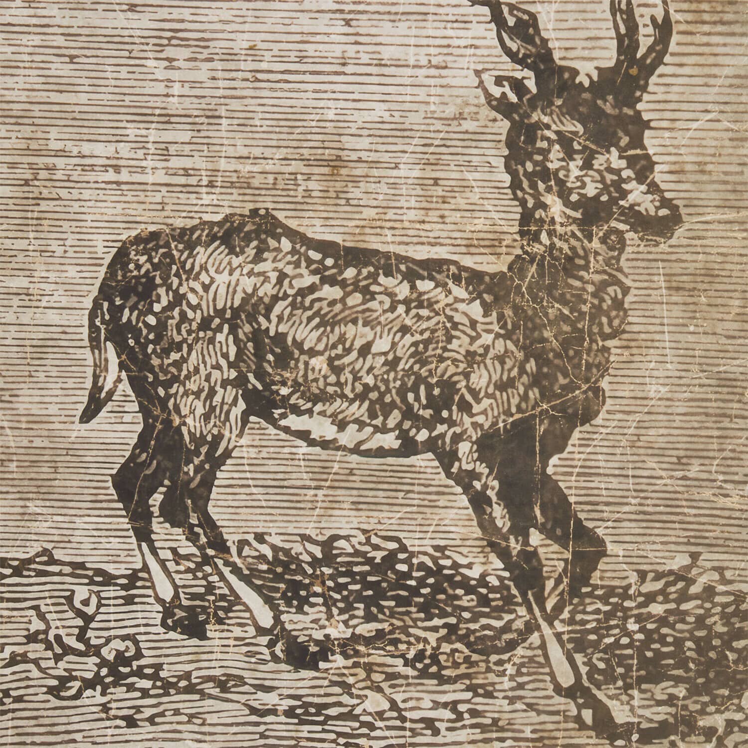 Fototapeta Chelun