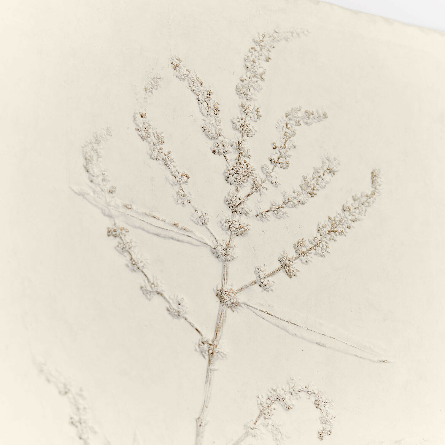 Obraz, zestaw 2 szt. Maevara