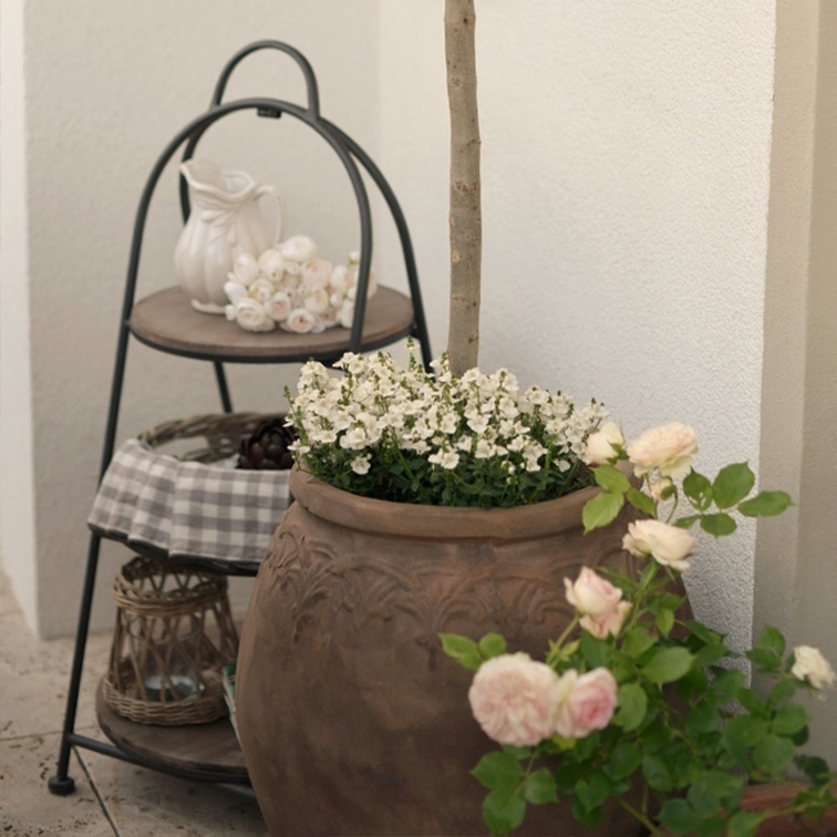 Duża ceramiczna donica z białymi kwiatami i różami obok metalowej półki z dzbankiem i lampionem