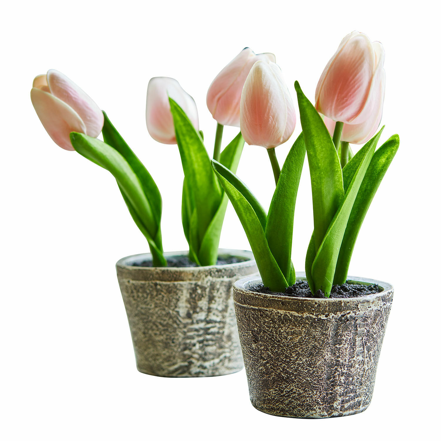 Tulipan dekoracyjny, zestaw 2 szt. Zéphine