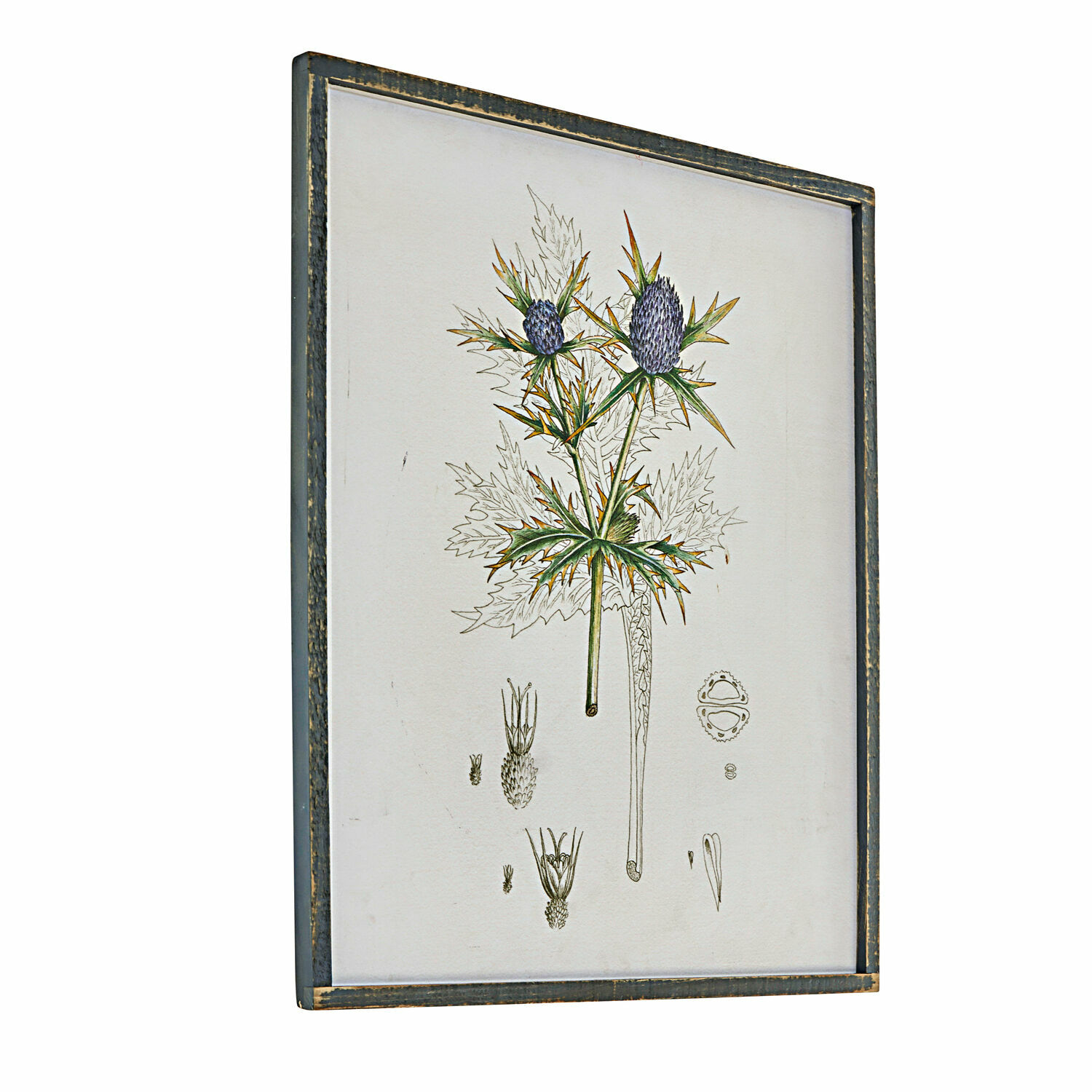 Obraz Épine Obraz botaniczny z rośliną o fioletowych kwiatach w drewnianej ramie w stylu vintage
