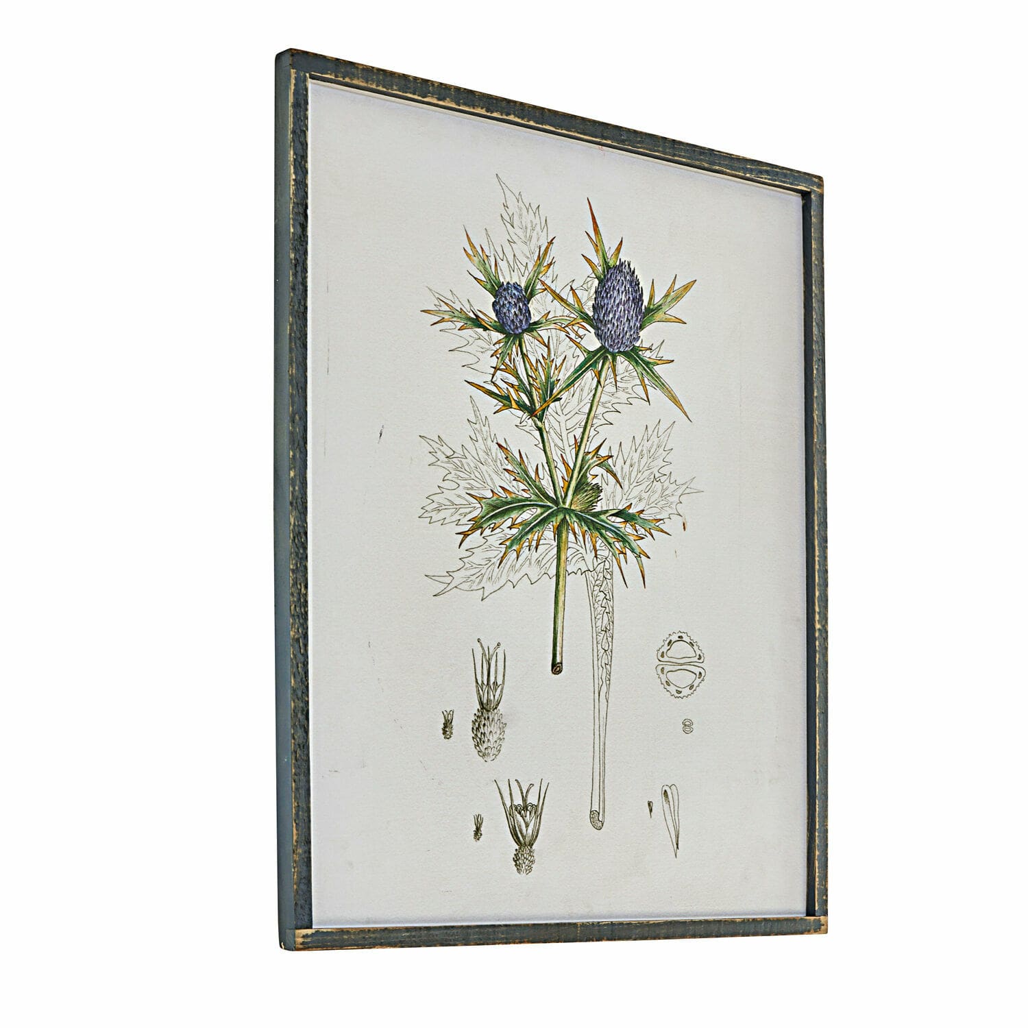 Obraz Épine Obraz botaniczny z rośliną o fioletowych kwiatach w drewnianej ramie w stylu vintage