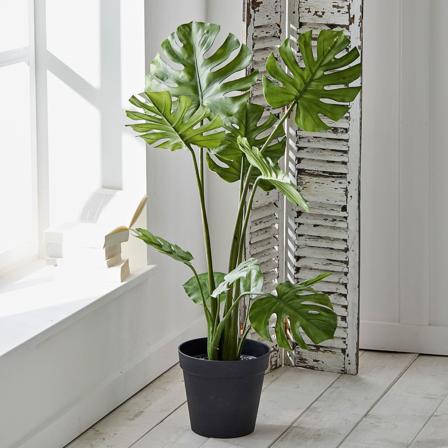 Dekoracja roślinna Monstera