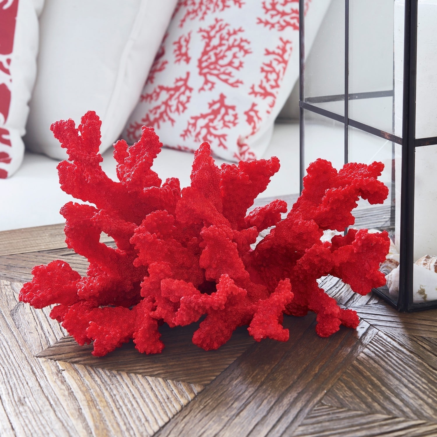 Dekoracyjny koralowiec Reddish