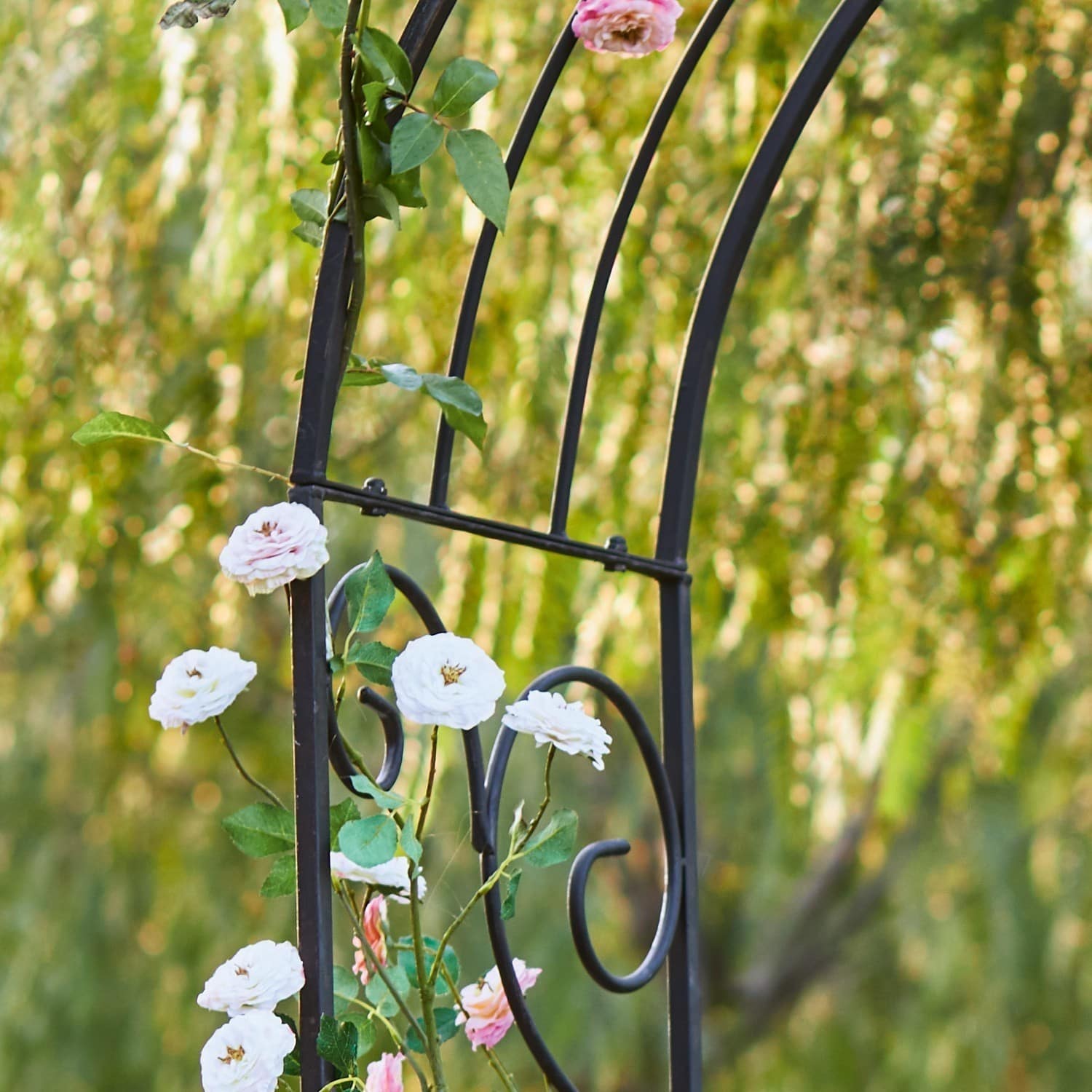 Pergola ogrodowa Bertry