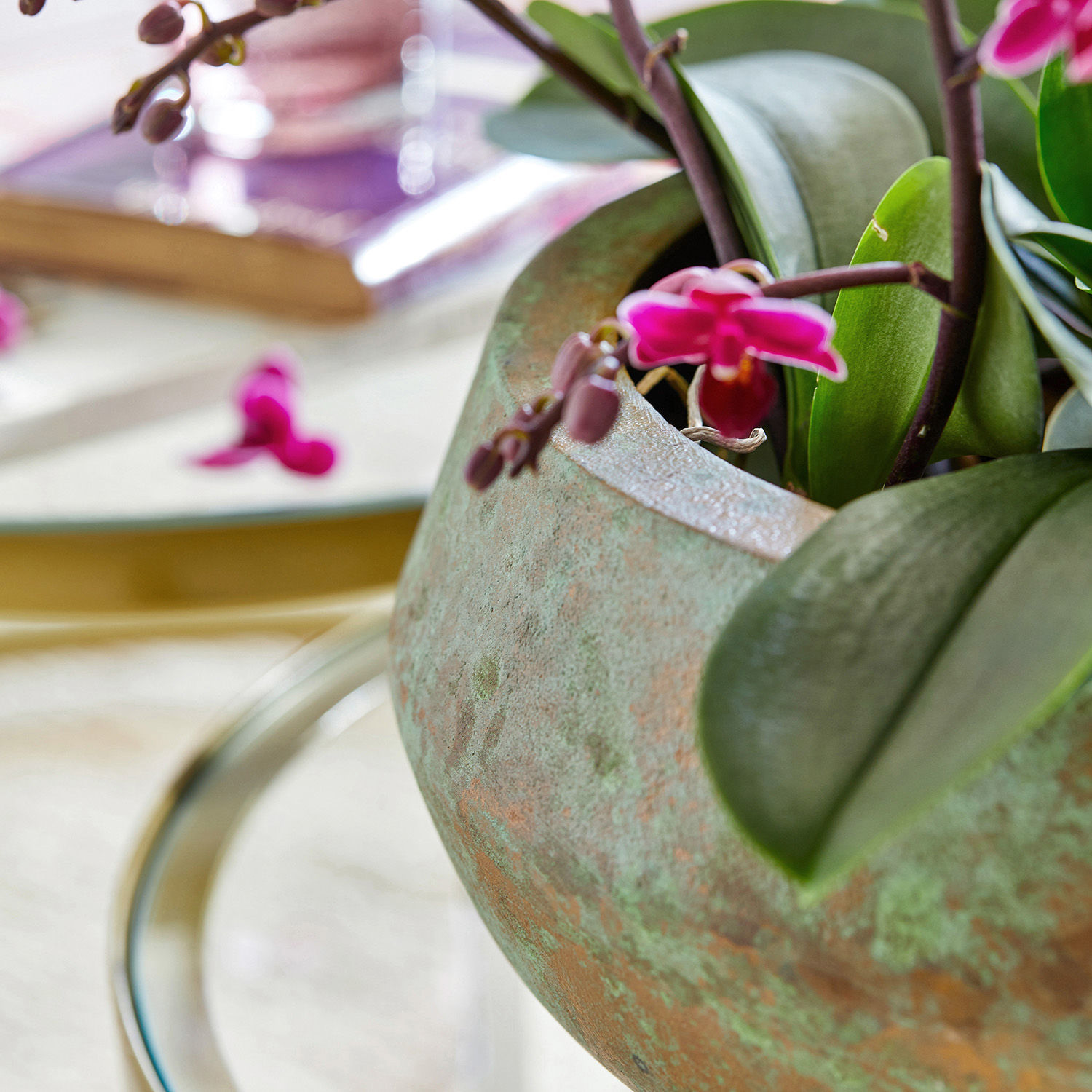 Miska Minton
