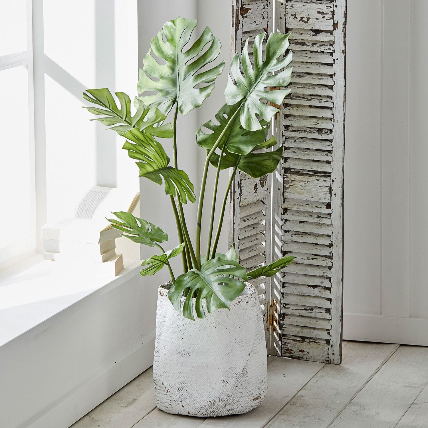 Dekoracja roślinna Monstera