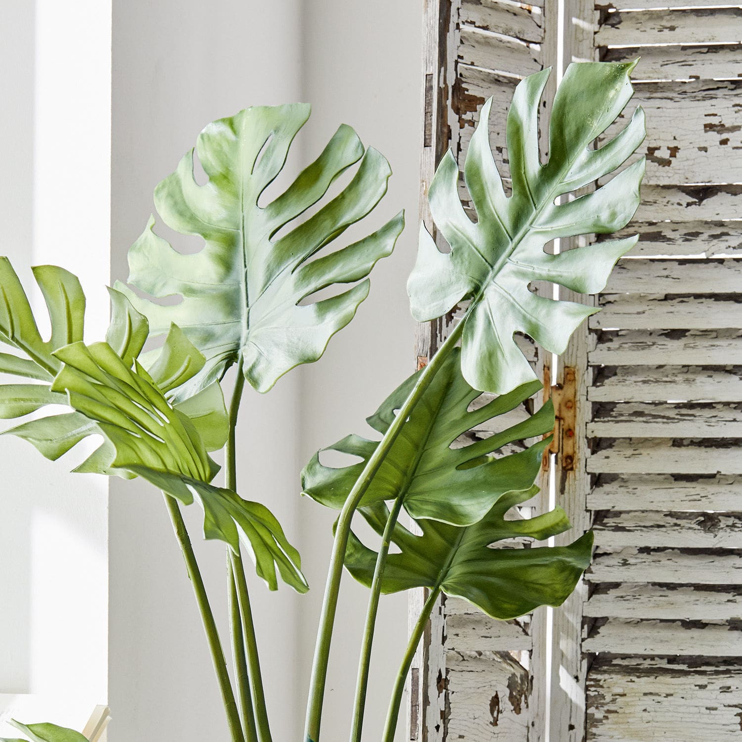 Dekoracja roślinna Monstera