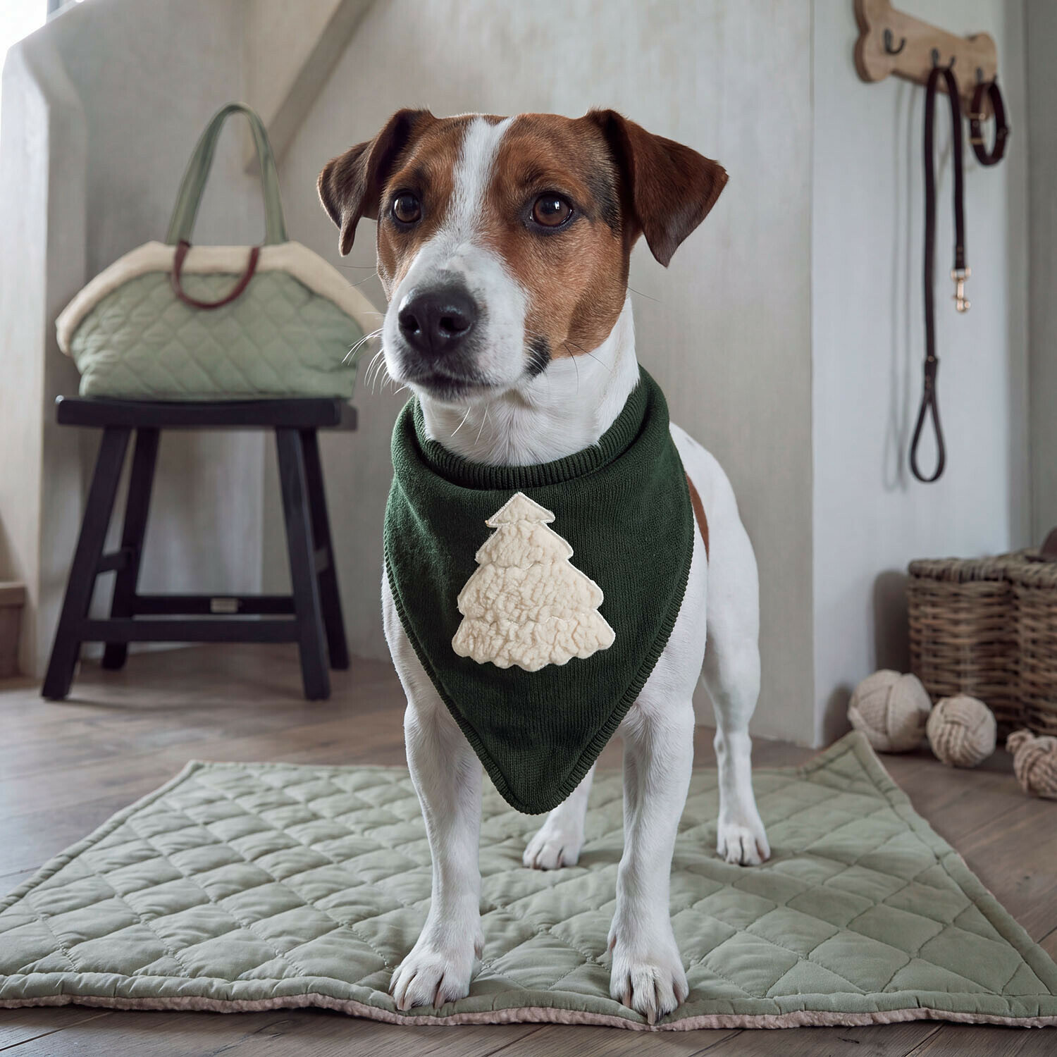 Hundehalstuch Jovini
