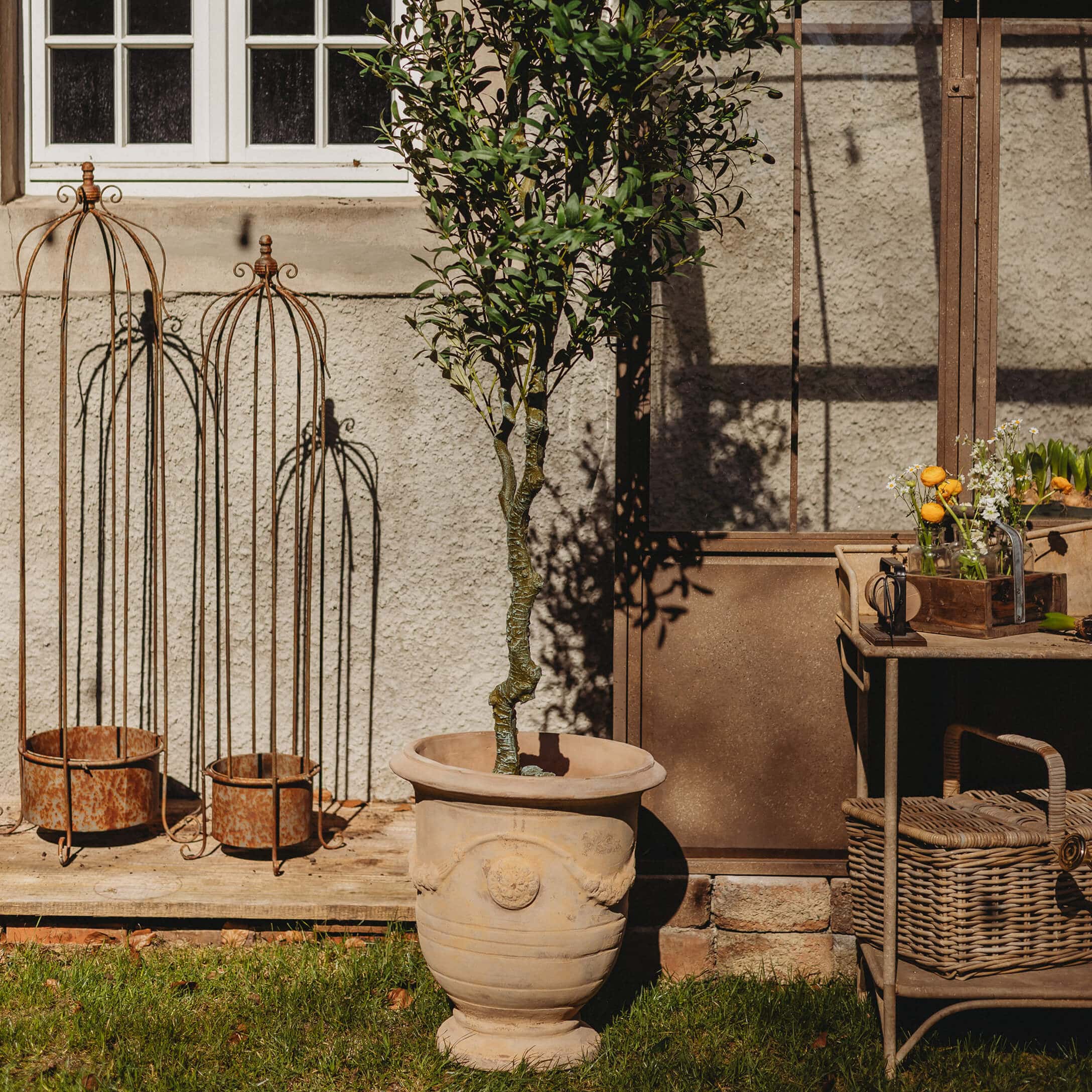 Duży ceramiczny doniczka w beżowym kolorze z zielonym drzewem na tle ogrodu i metalowych dekoracji