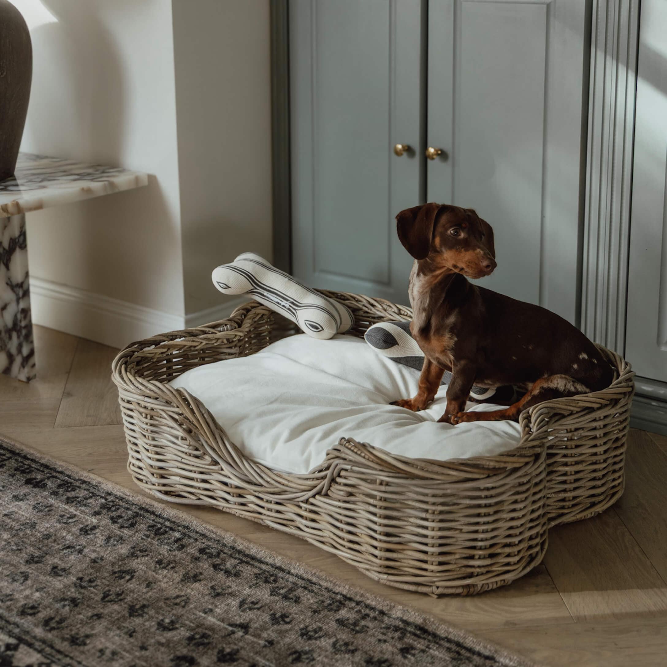 Jamnicze szczęście